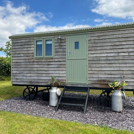 The Woolly Sheep Shepherd Huts Whitland 外观 照片
